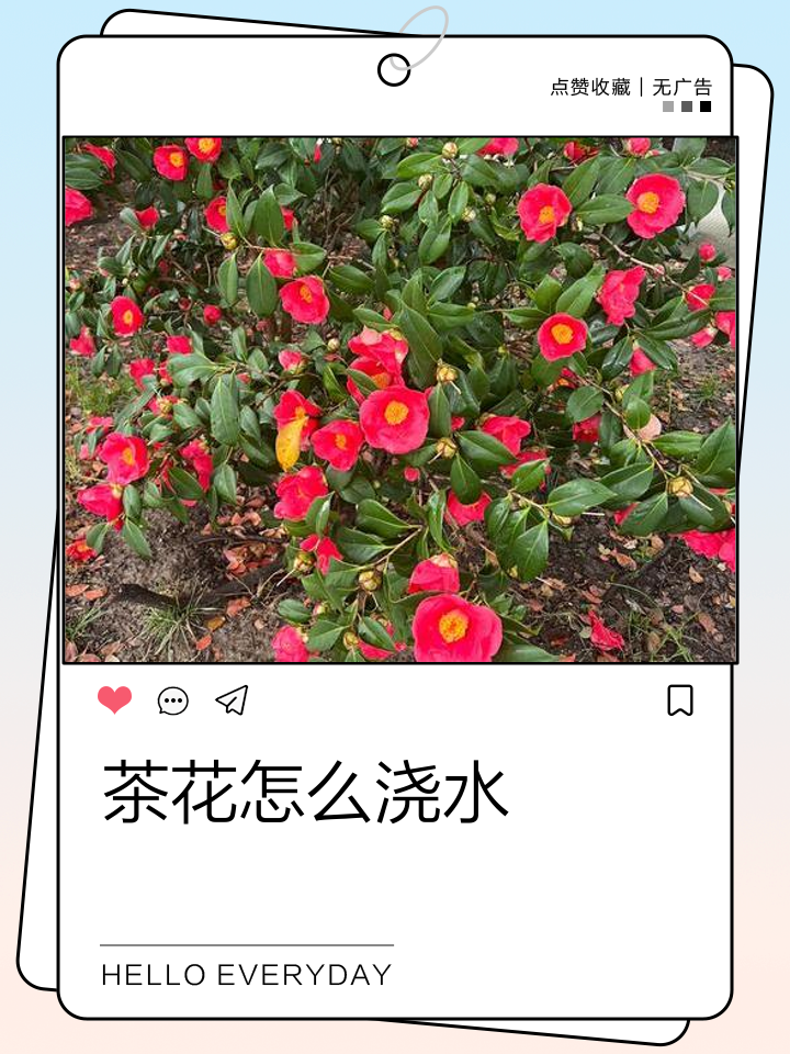 资讯 第14页