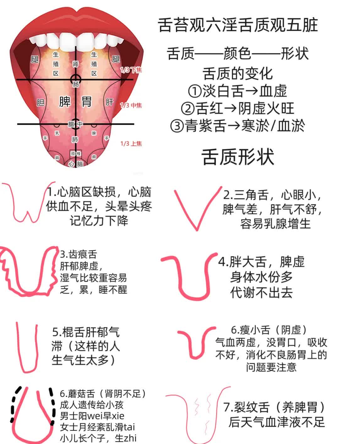 喉舌的解释与比喻